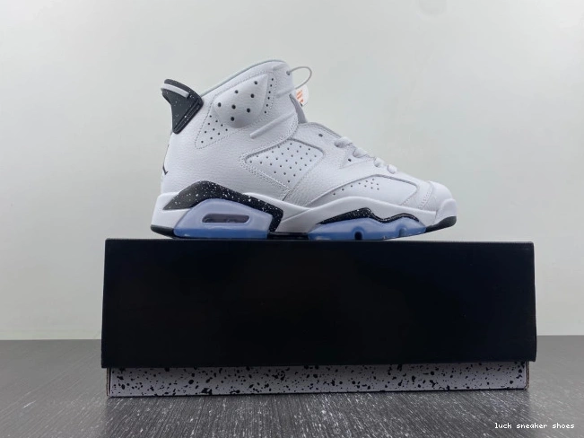 Rep LUCY Jordan Oreo 6 Reverse Air CT8529-112 0701